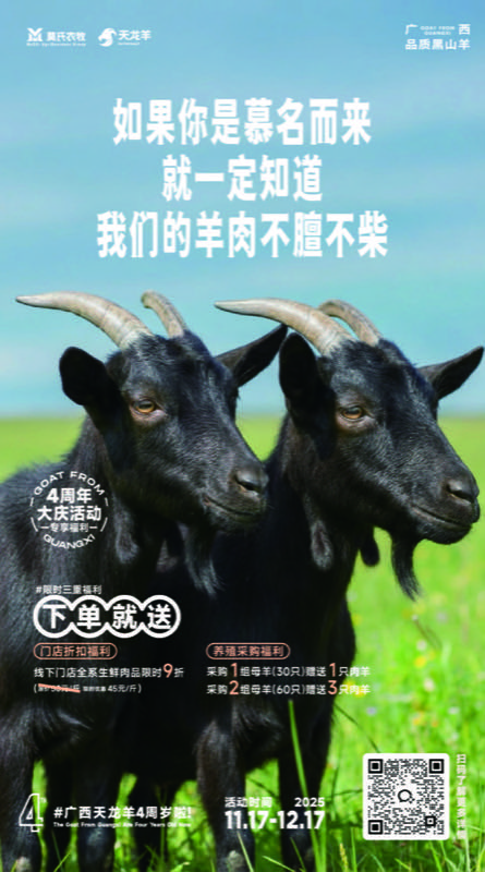 天龙羊四周年品牌设计